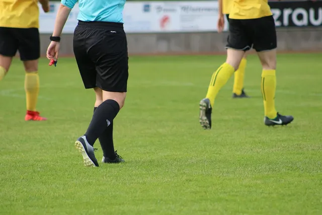 dsc_0565-arbitre.jpg