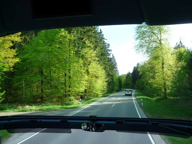 reseau_bus.jpg